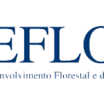 Ideflorbio